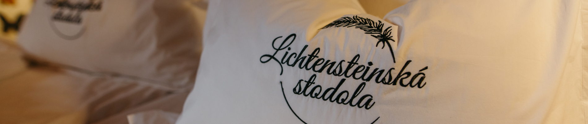 Profesní fotografie