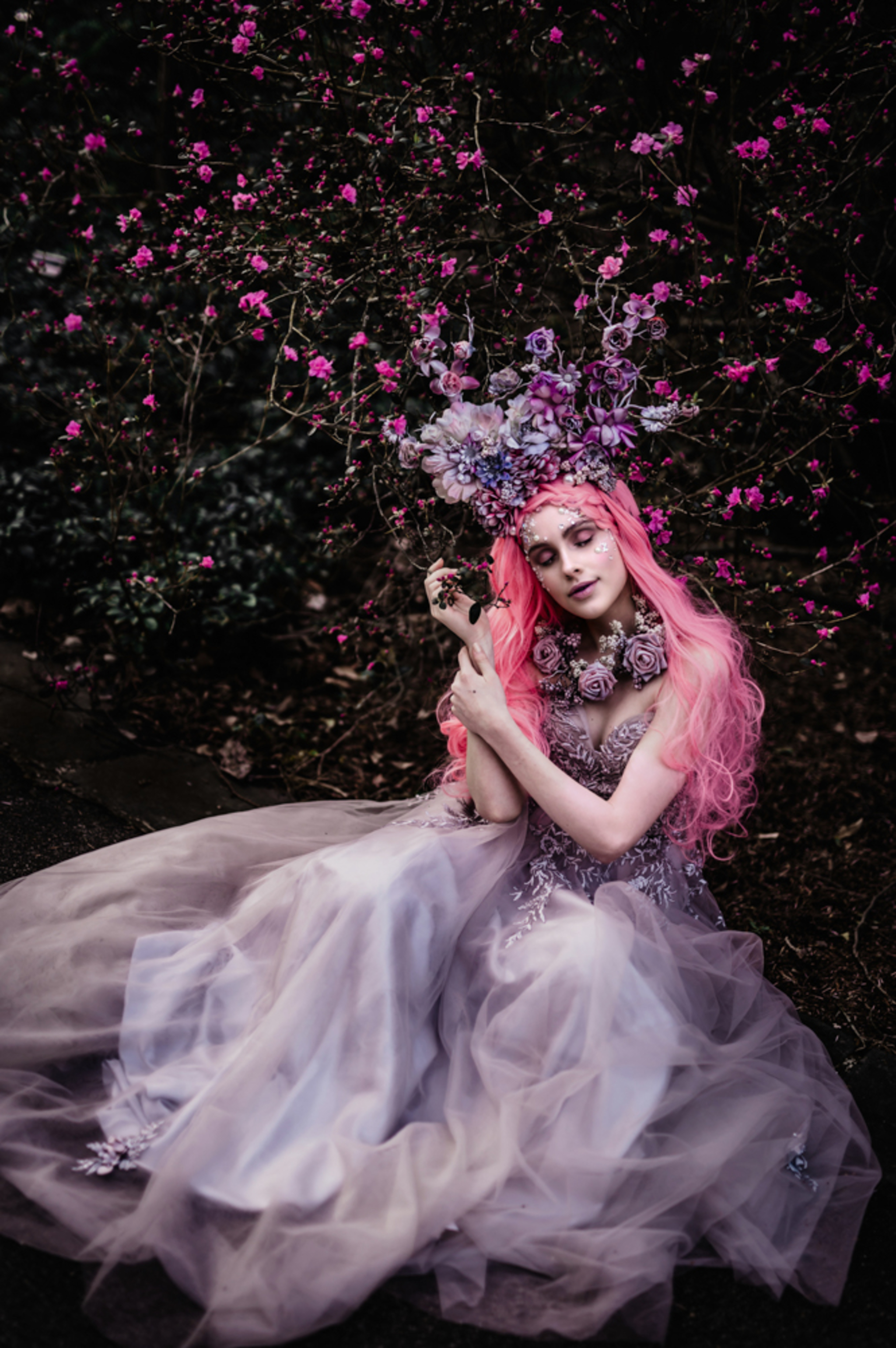 wonderland