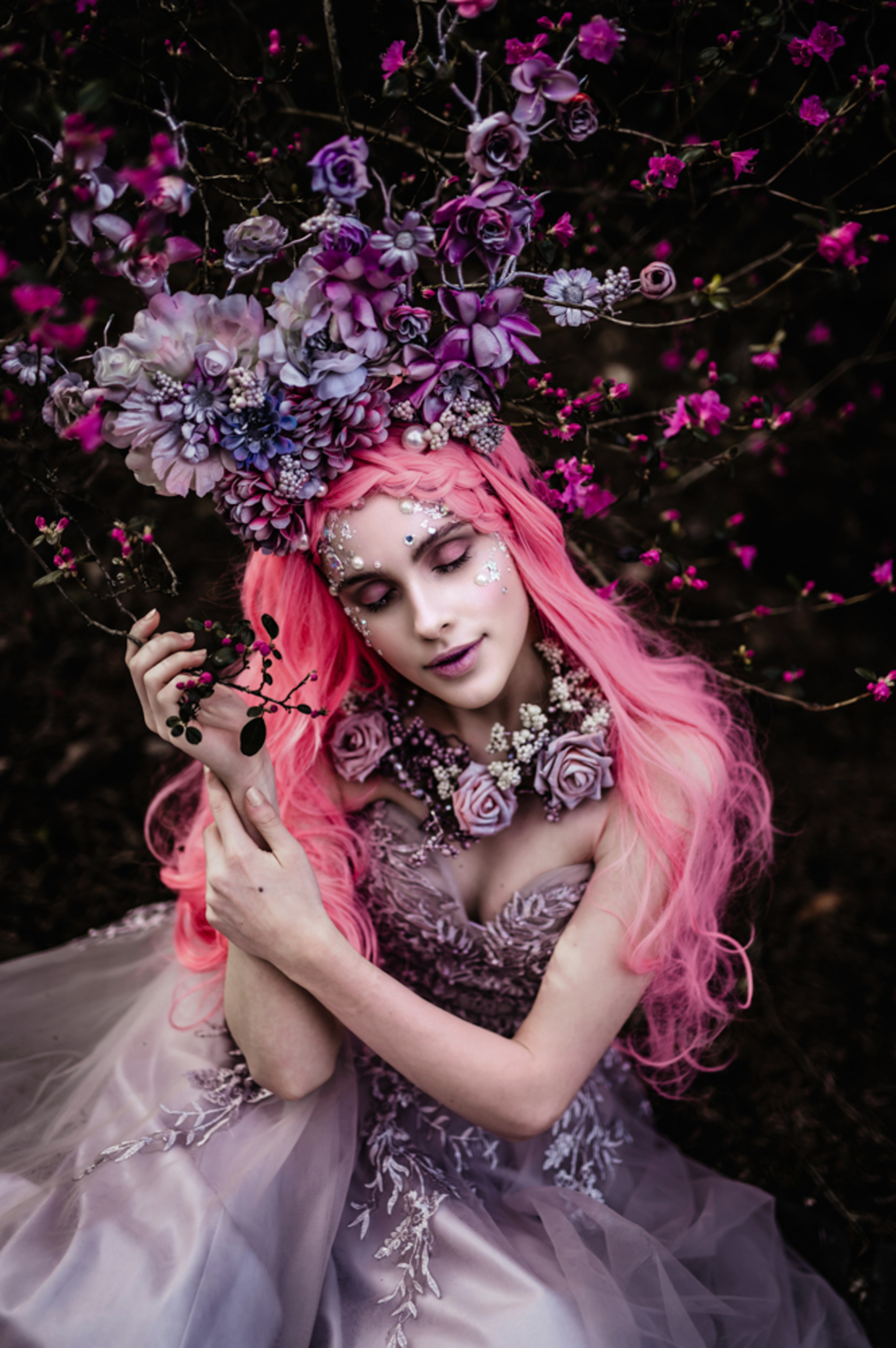 wonderland