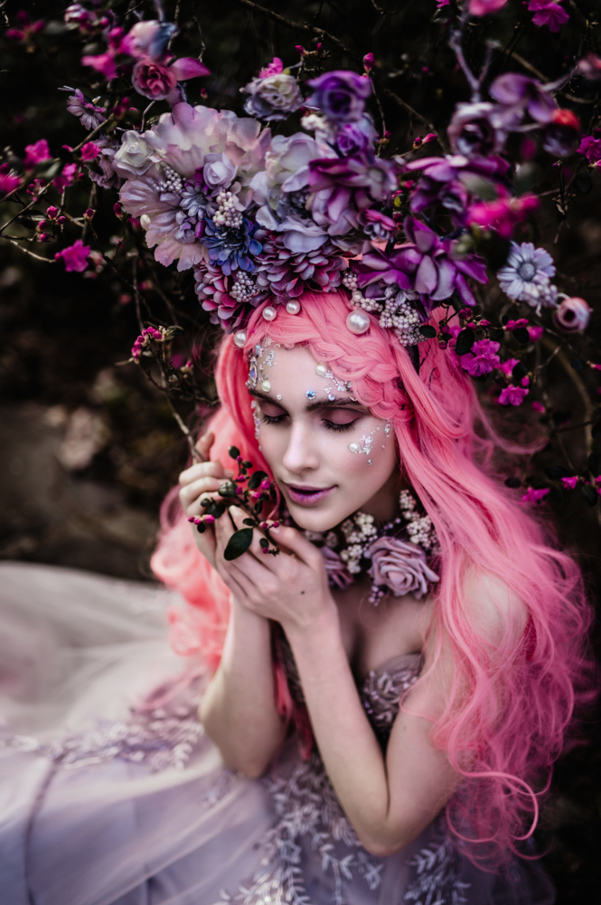 wonderland