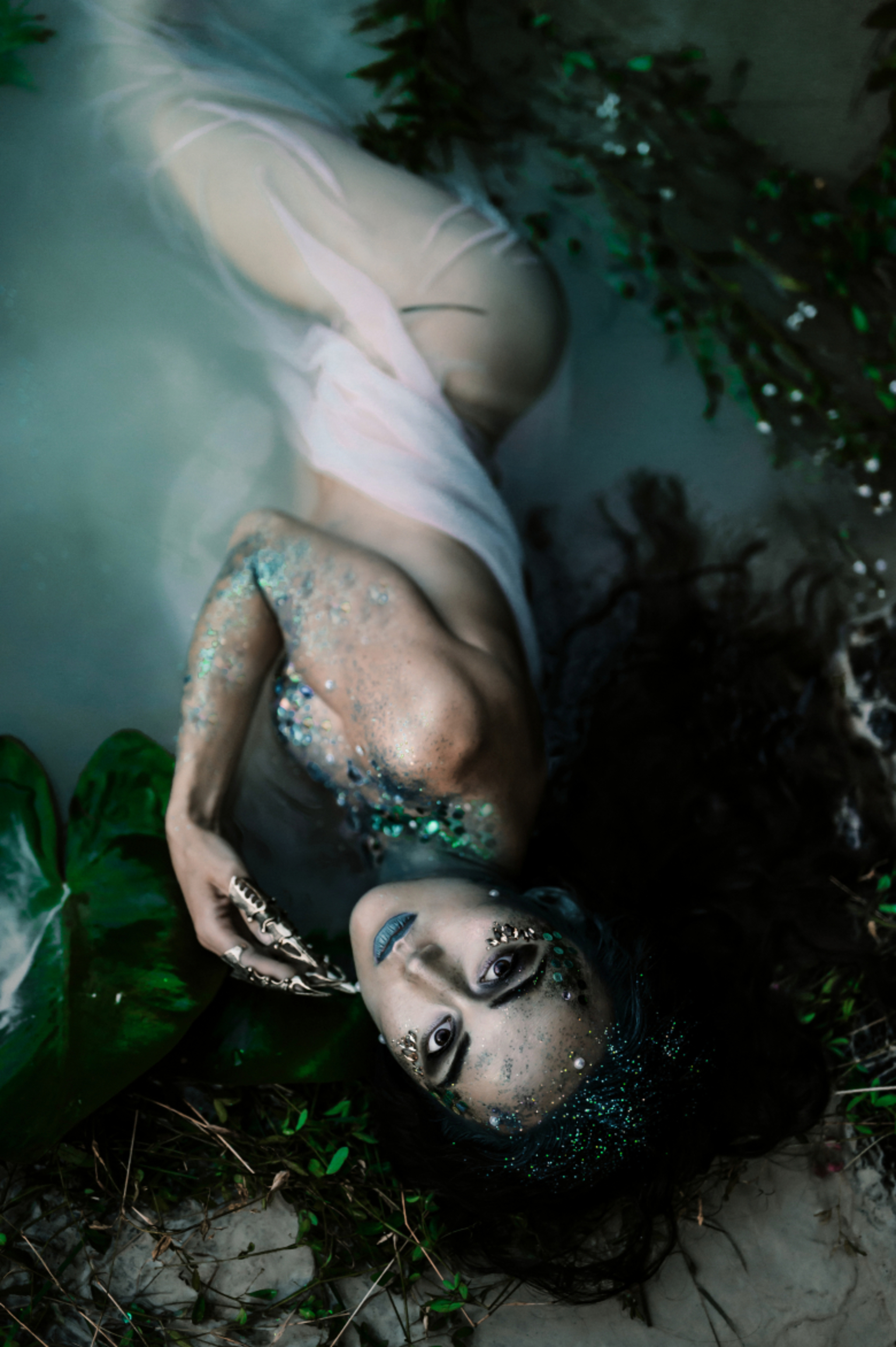 wonderland