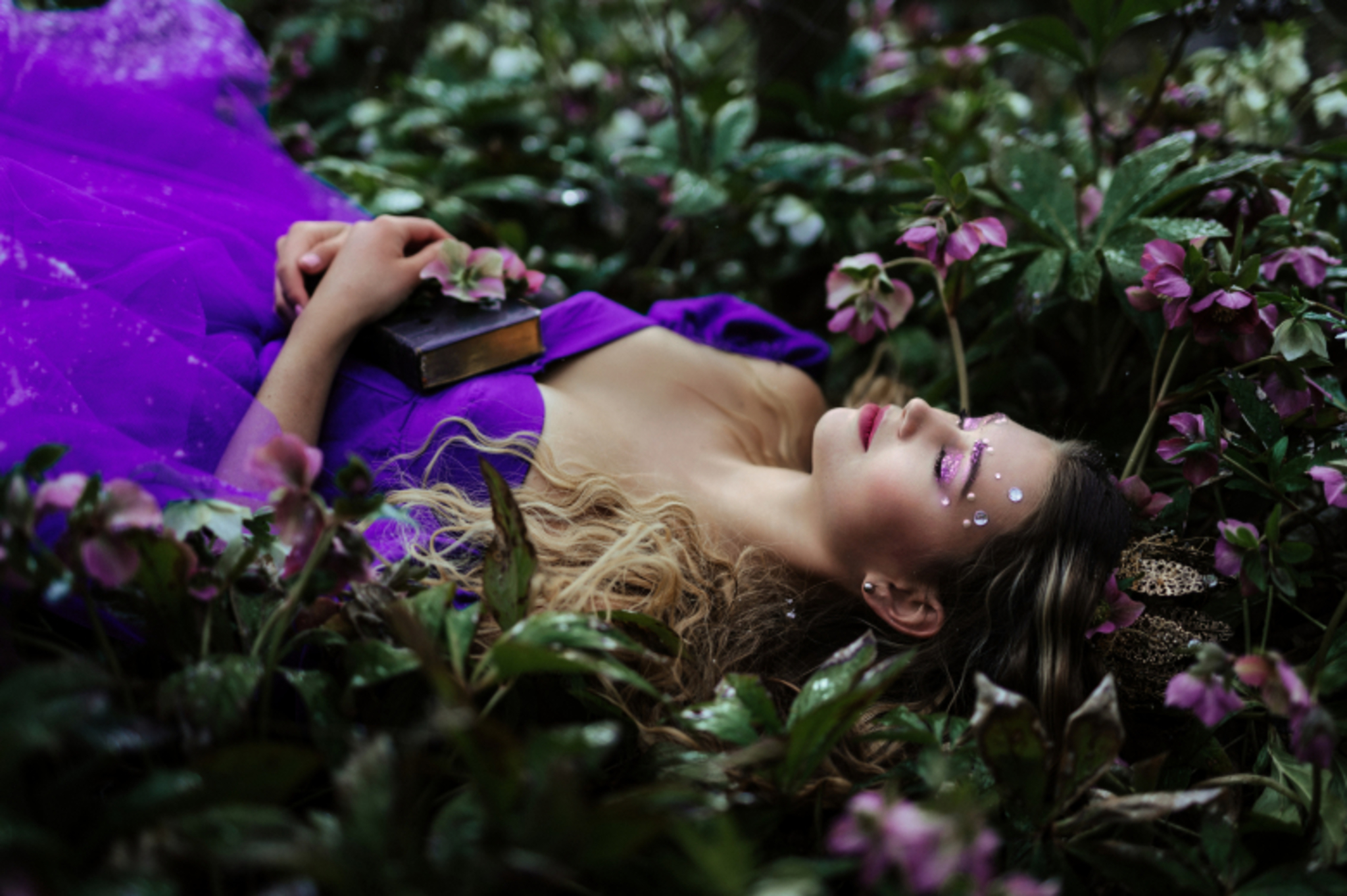 wonderland