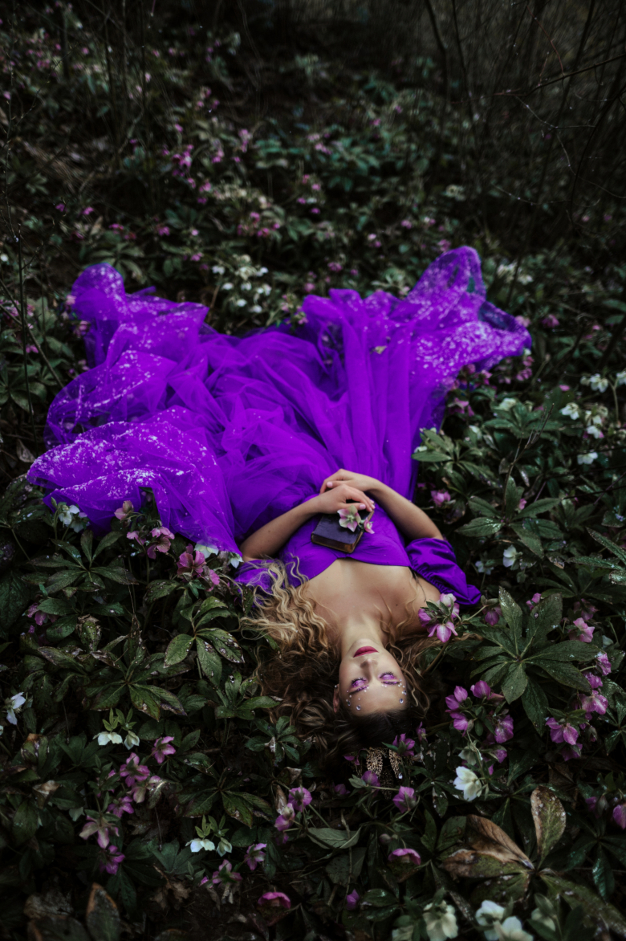 wonderland