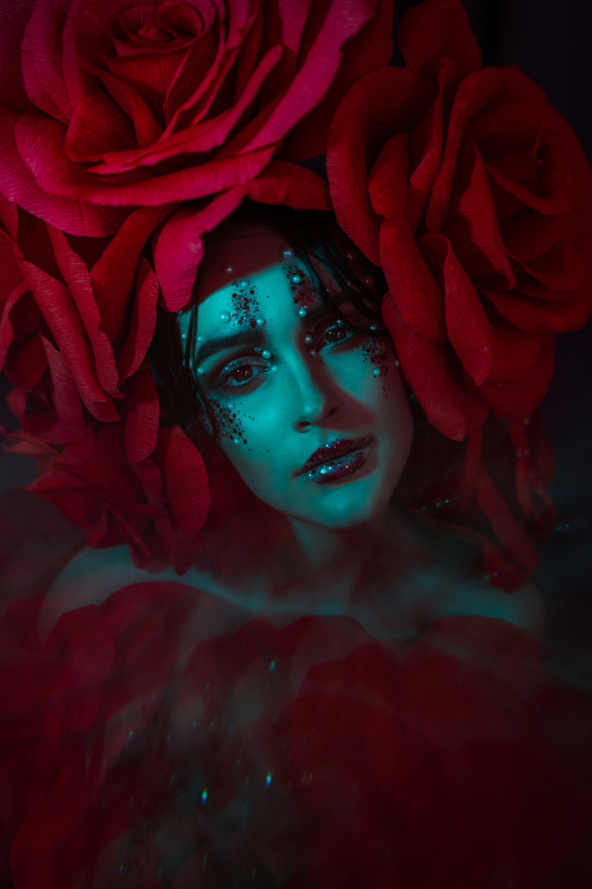 wonderland