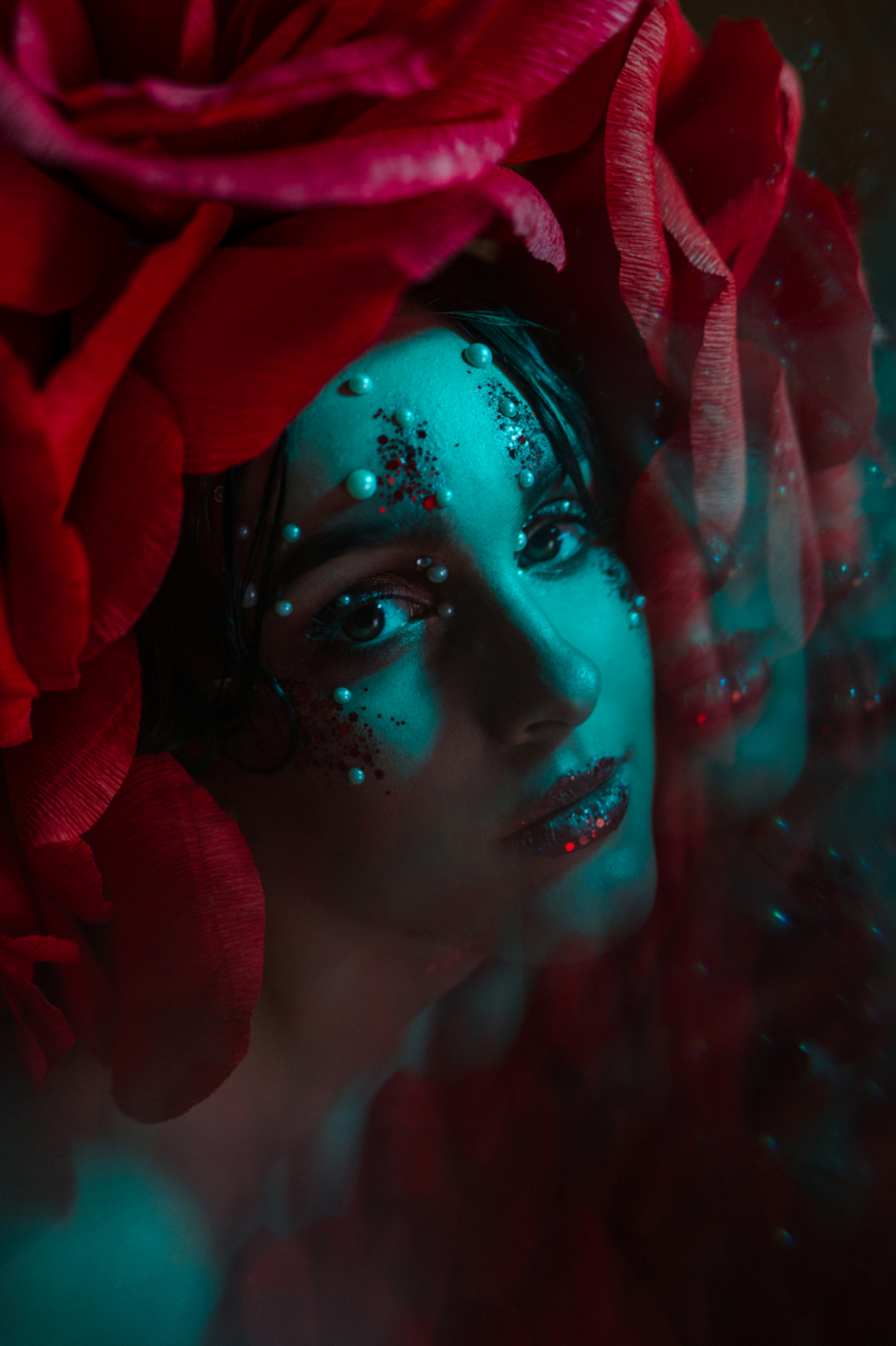 wonderland