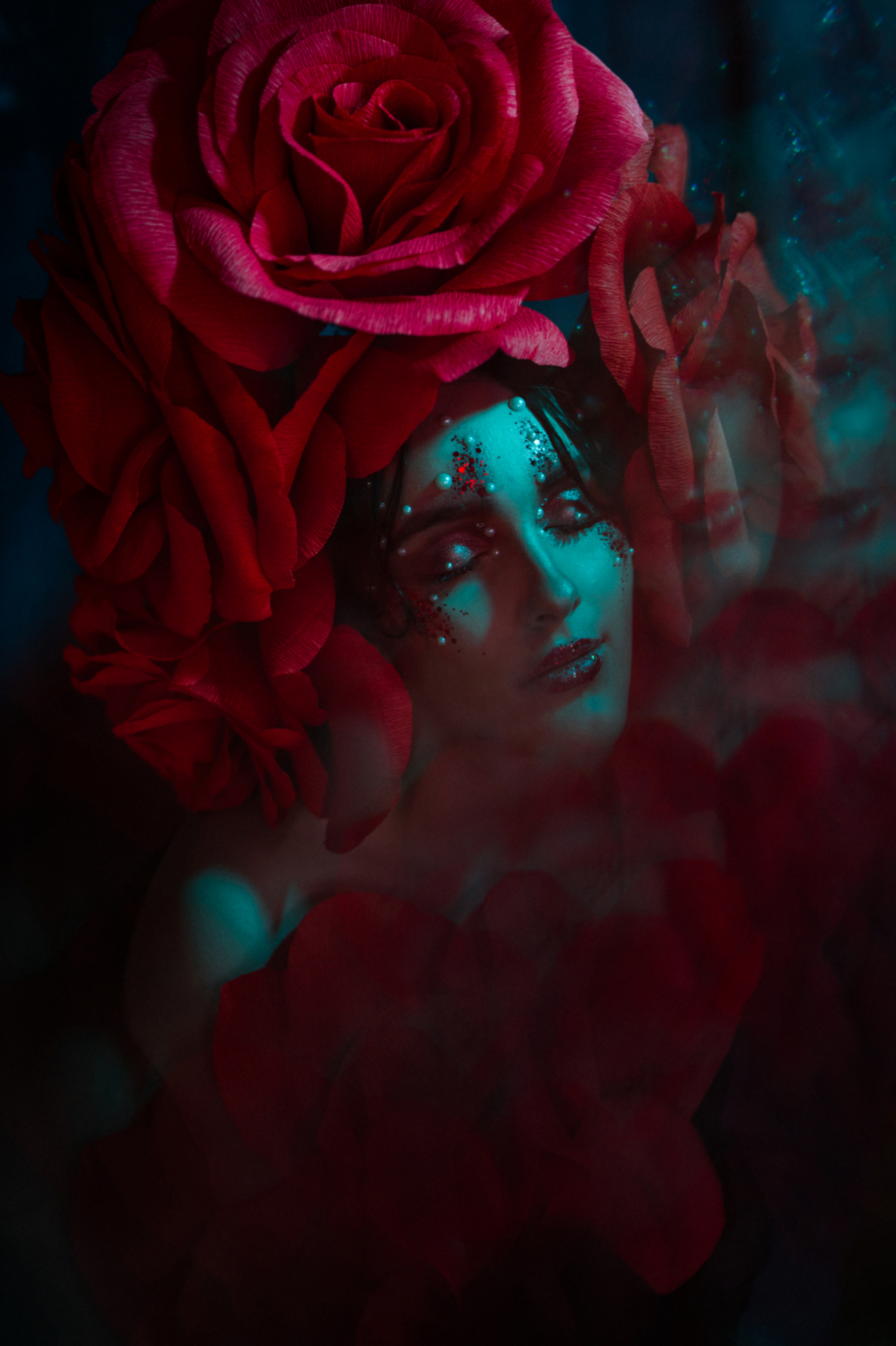 wonderland